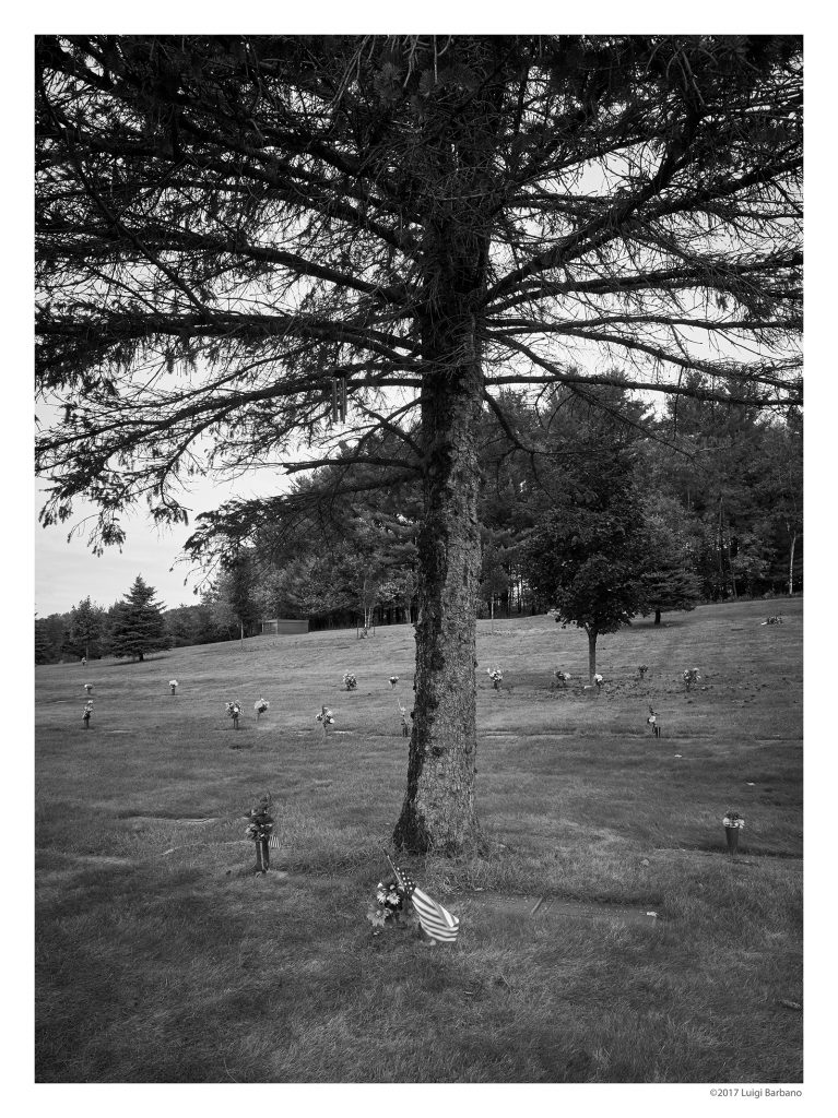 Black and White Tales, Print #16 - Wausau veteran cemetery, Wisconsin