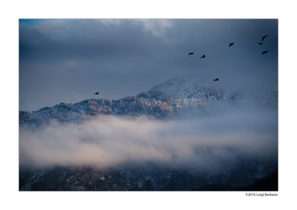 Fuji 55-200…