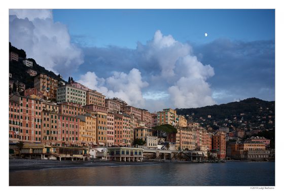 Groundhog day… or La Candelora.