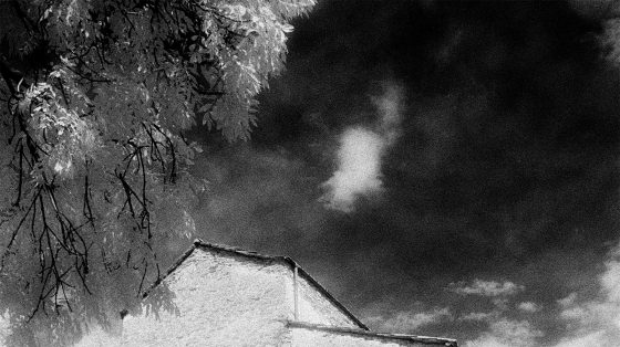 Black and White Tales – Print #13