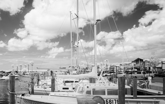 Black and White Tales, Print #27