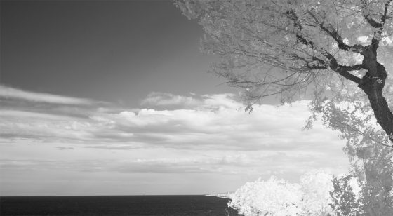 Black and White Tales, Print #29