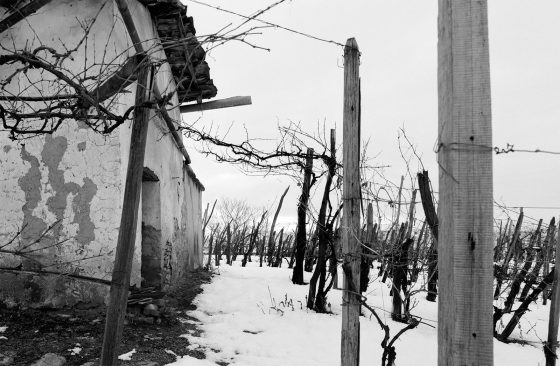 Black and White Tales, Print#37